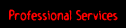 Professional Multimedia Development Services